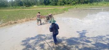 Bangun Hubungan TNI Dan Petani, Satgas TMMD Bojonegoro Bantu Bajak Sawah